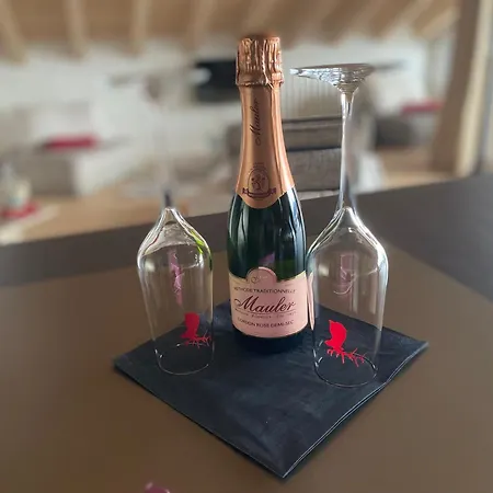 De Standing A La Montagne Lejlighed *